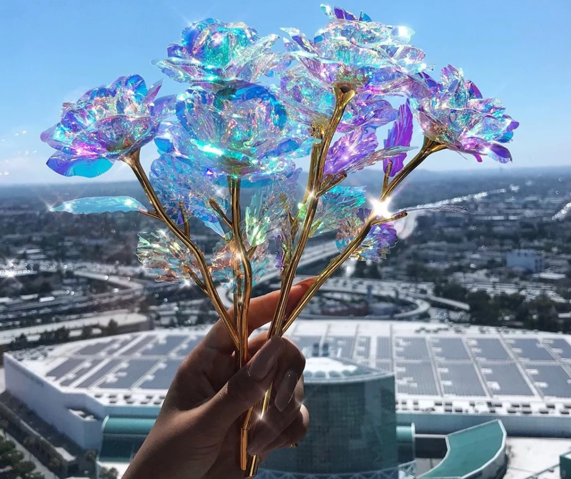 Galaxy Rose