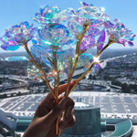 Galaxy Rose