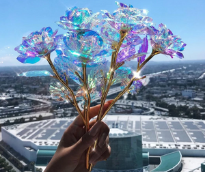 Galaxy Rose