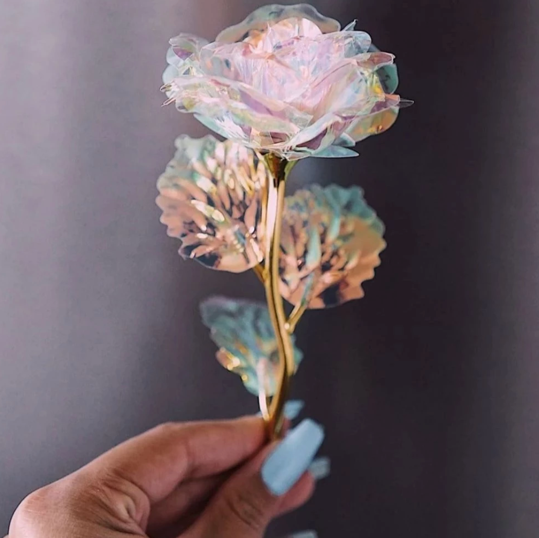 Galaxy Rose
