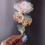 Galaxy Rose