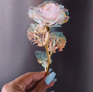Galaxy Rose
