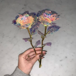 Galaxy Rose