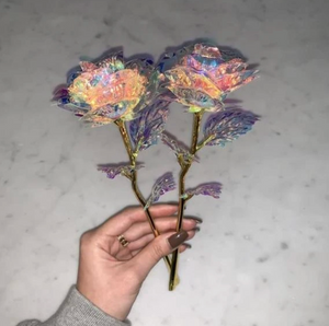 Galaxy Rose